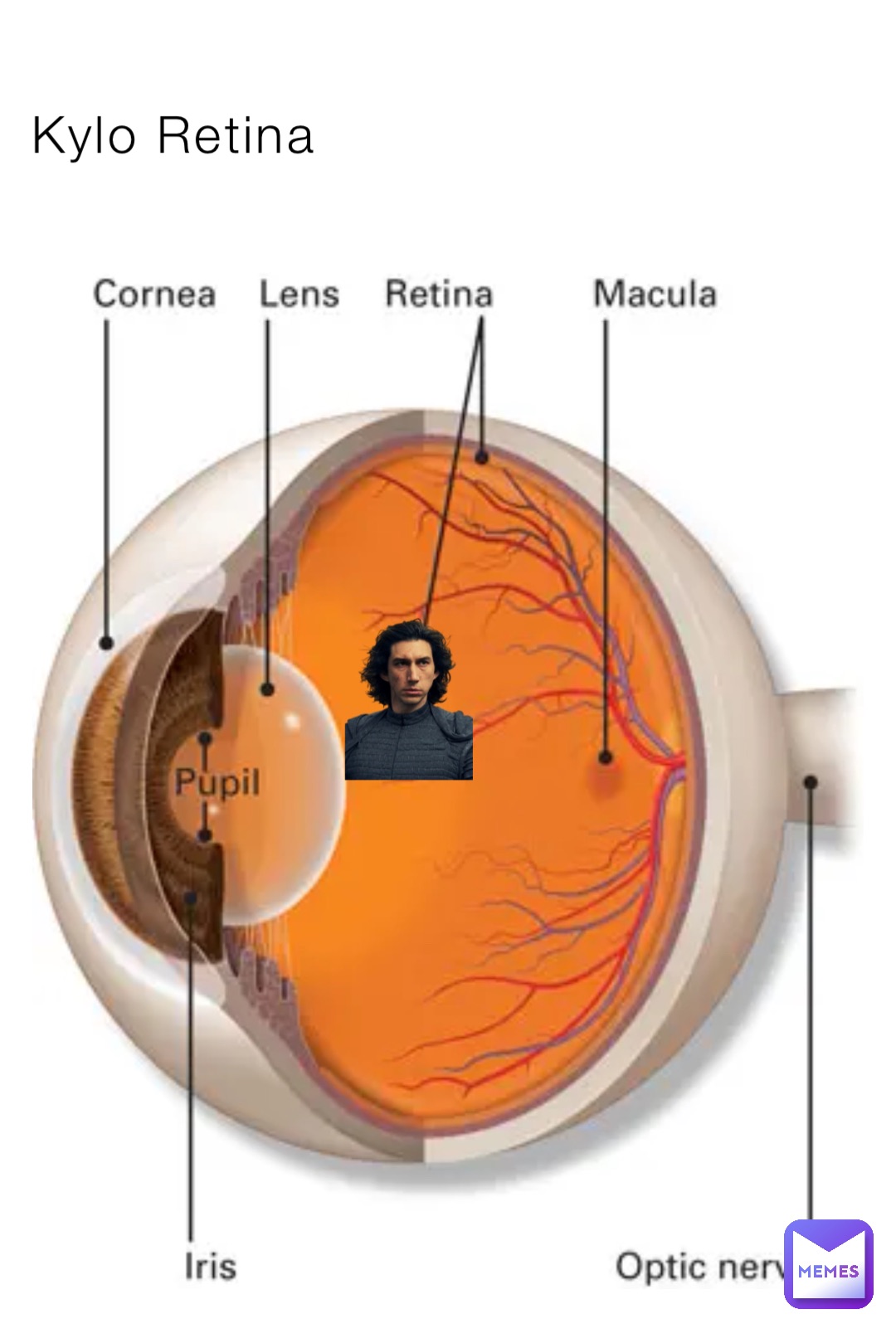 kylo-retina-pminbox21-memes