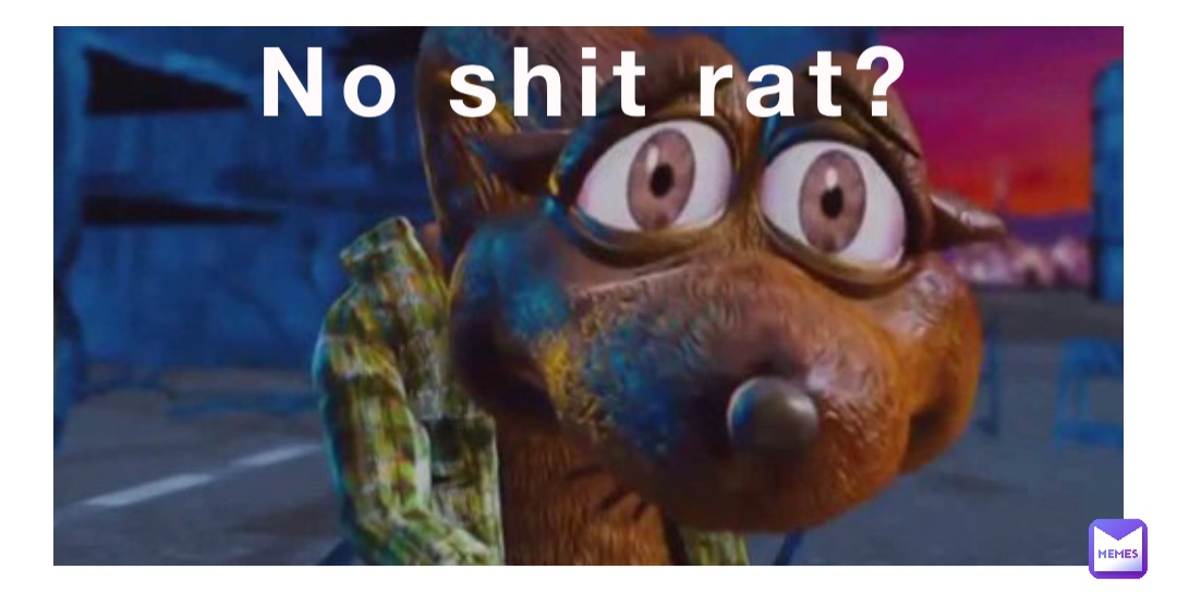 No shit rat?