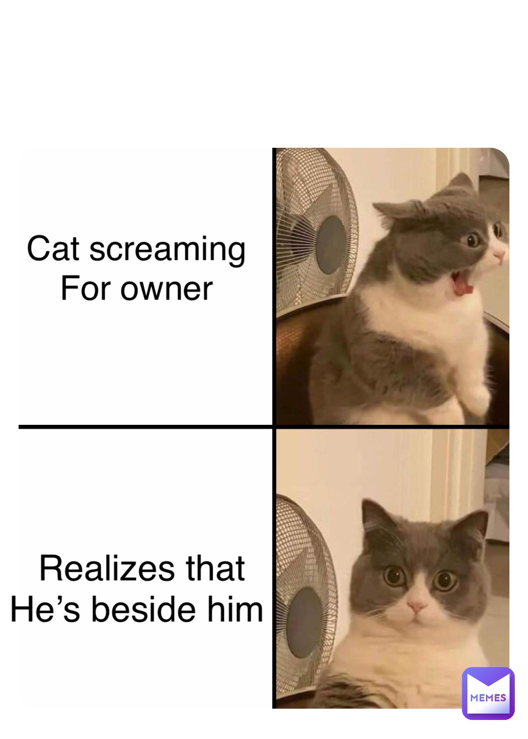 Double tap to edit Cat screaming
For owner Realizes that 
He’s beside him