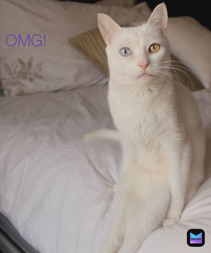 Meme by alice_cherry