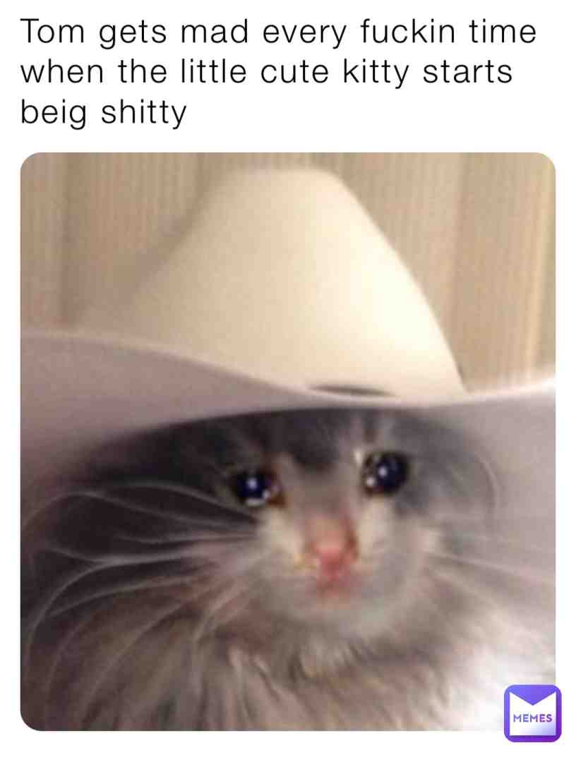 Did you niggas know that about the SHITTY KITTY ???