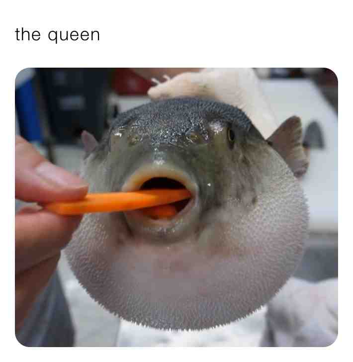 Meme shared by @jakalaonu40