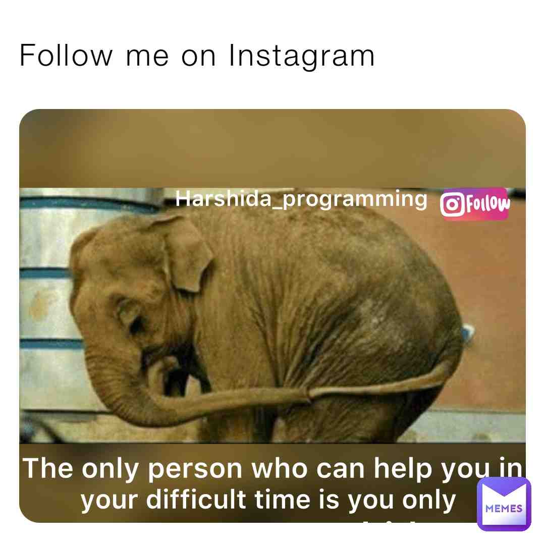 Meme shared by @programmingmemes