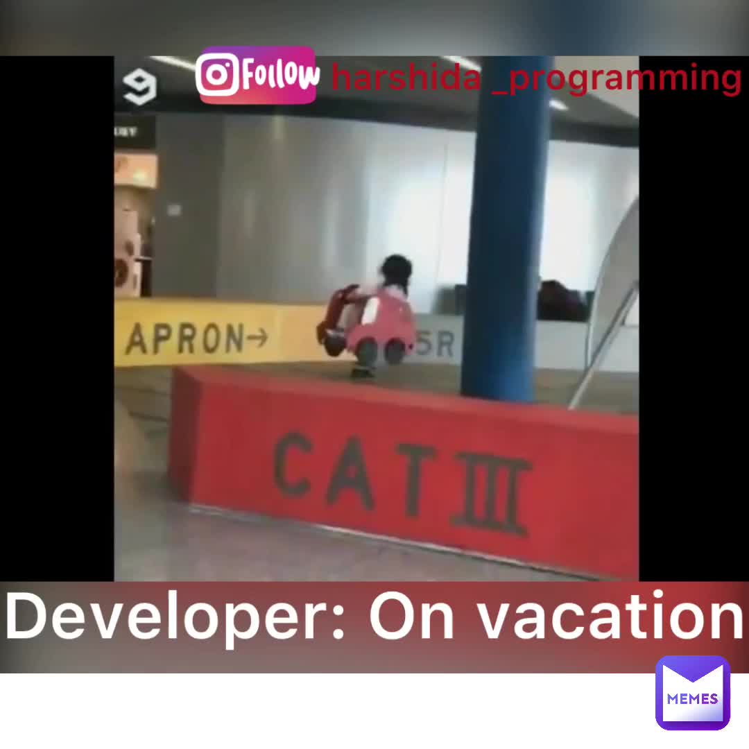 Meme shared by @programmingmemes