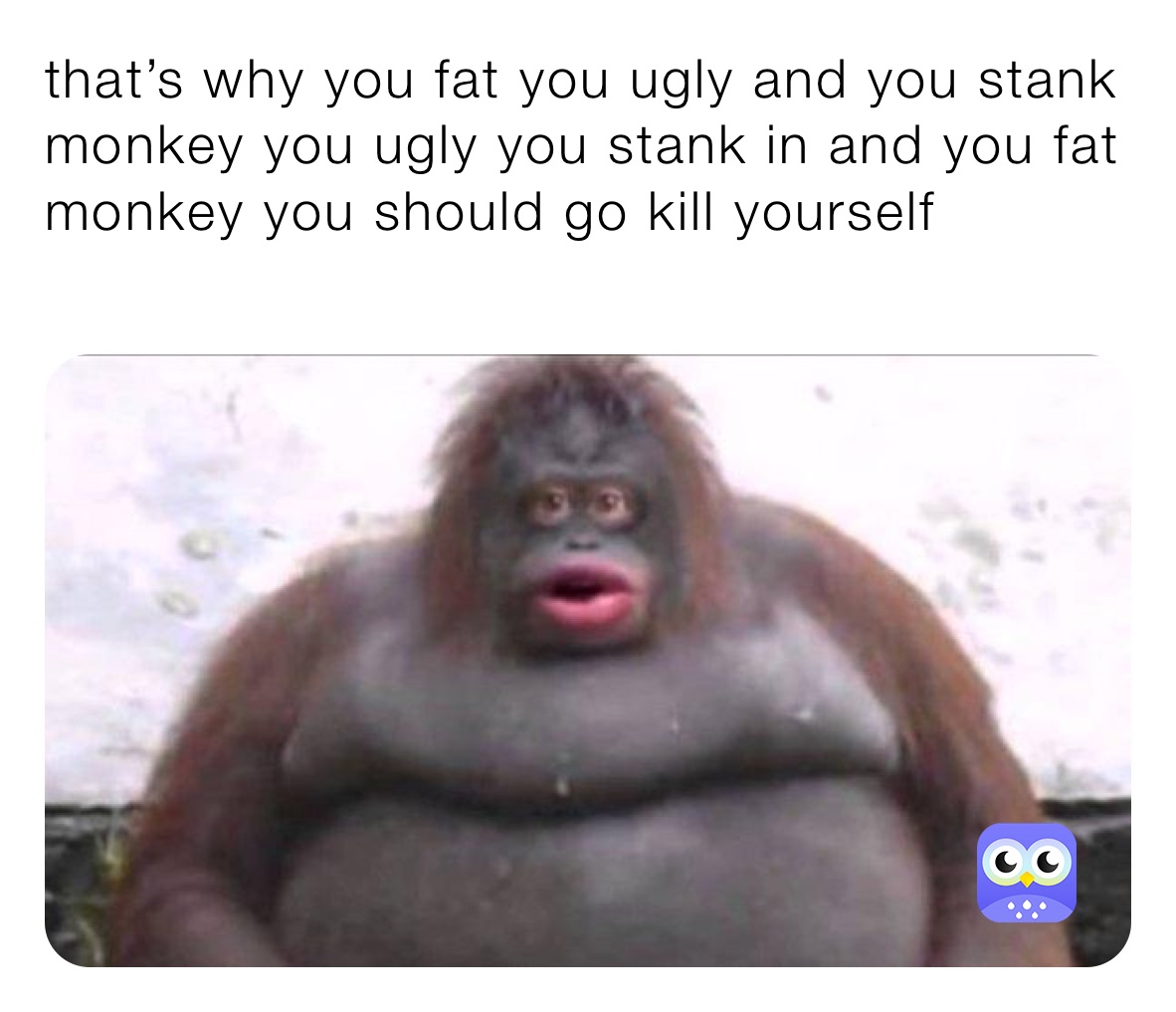 that’s why you fat you ugly and you stank monkey you ugly you stank in and you fat monkey you should go kill yourself 
