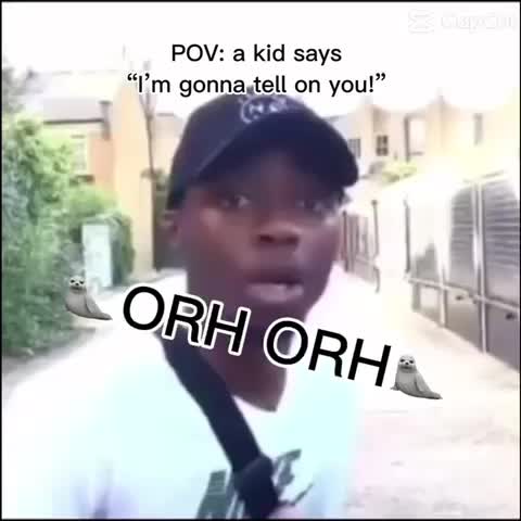 Meme shared by @drake_powell_331