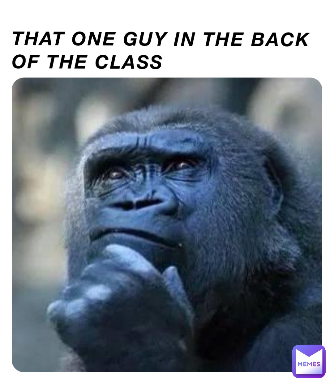 That one guy in the back of the class