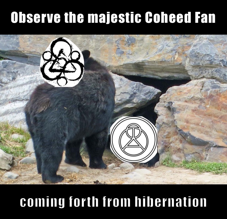 Observe the majestic Coheed Fan coming forth from hibernation 