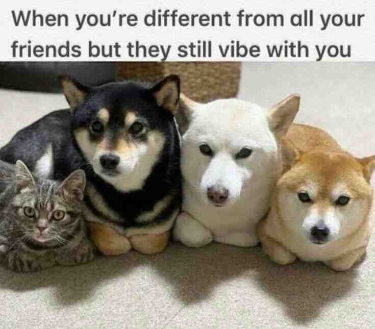 Meme shared by @Skyyy_ninja