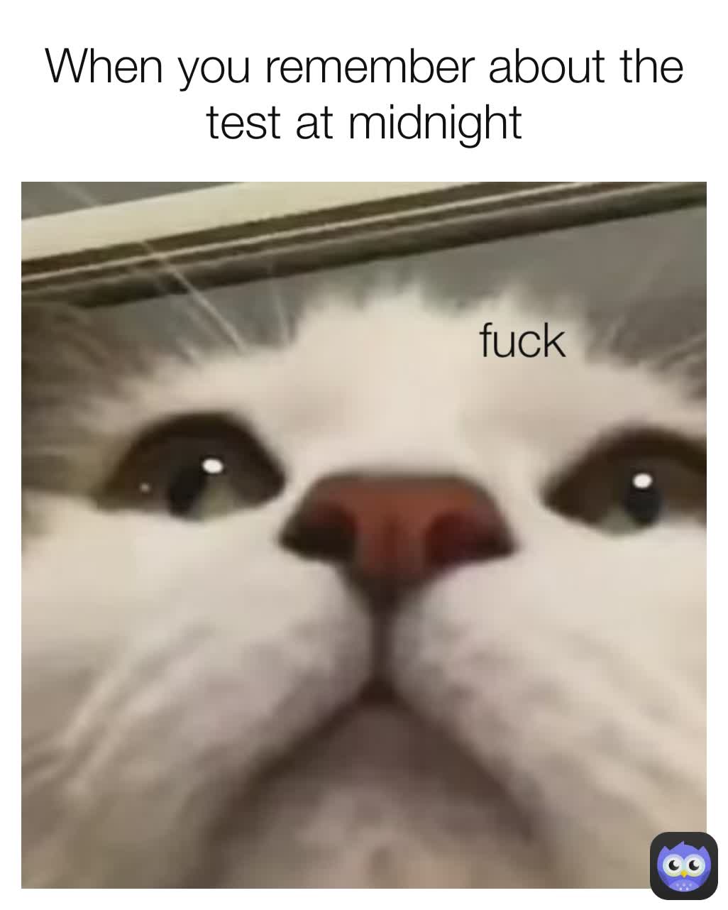 fuck When you remember about the test at midnight