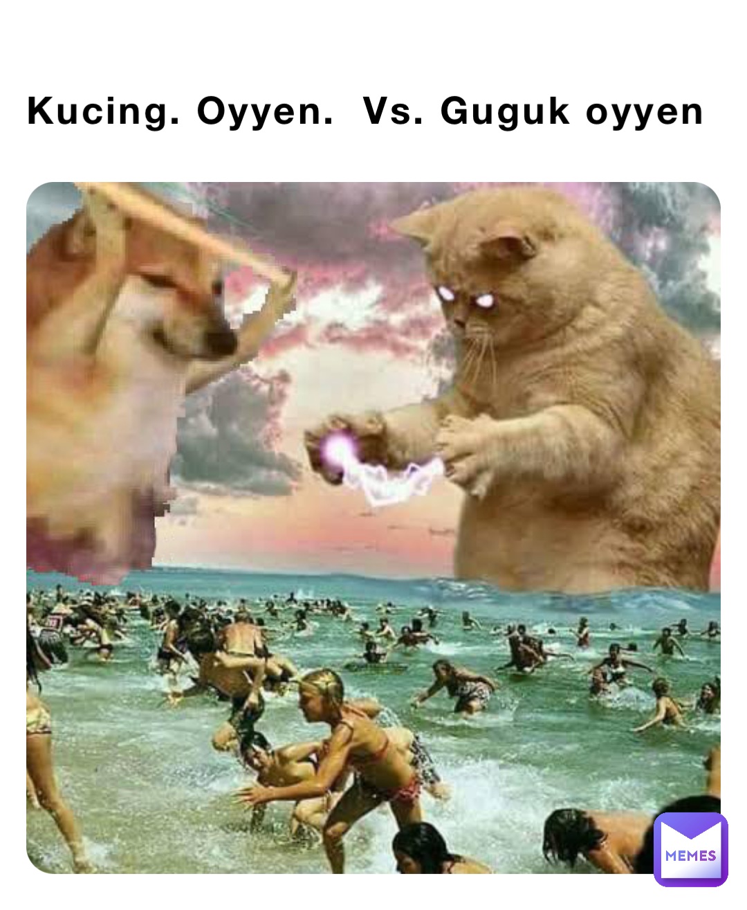 Kucing. Oyyen.  Vs. Guguk oyyen