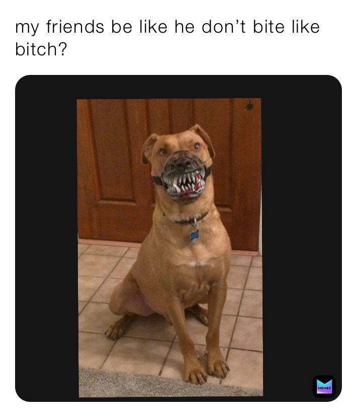 my friends be like he don’t bite like bitch?