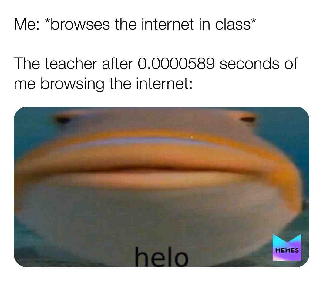 Helo boi