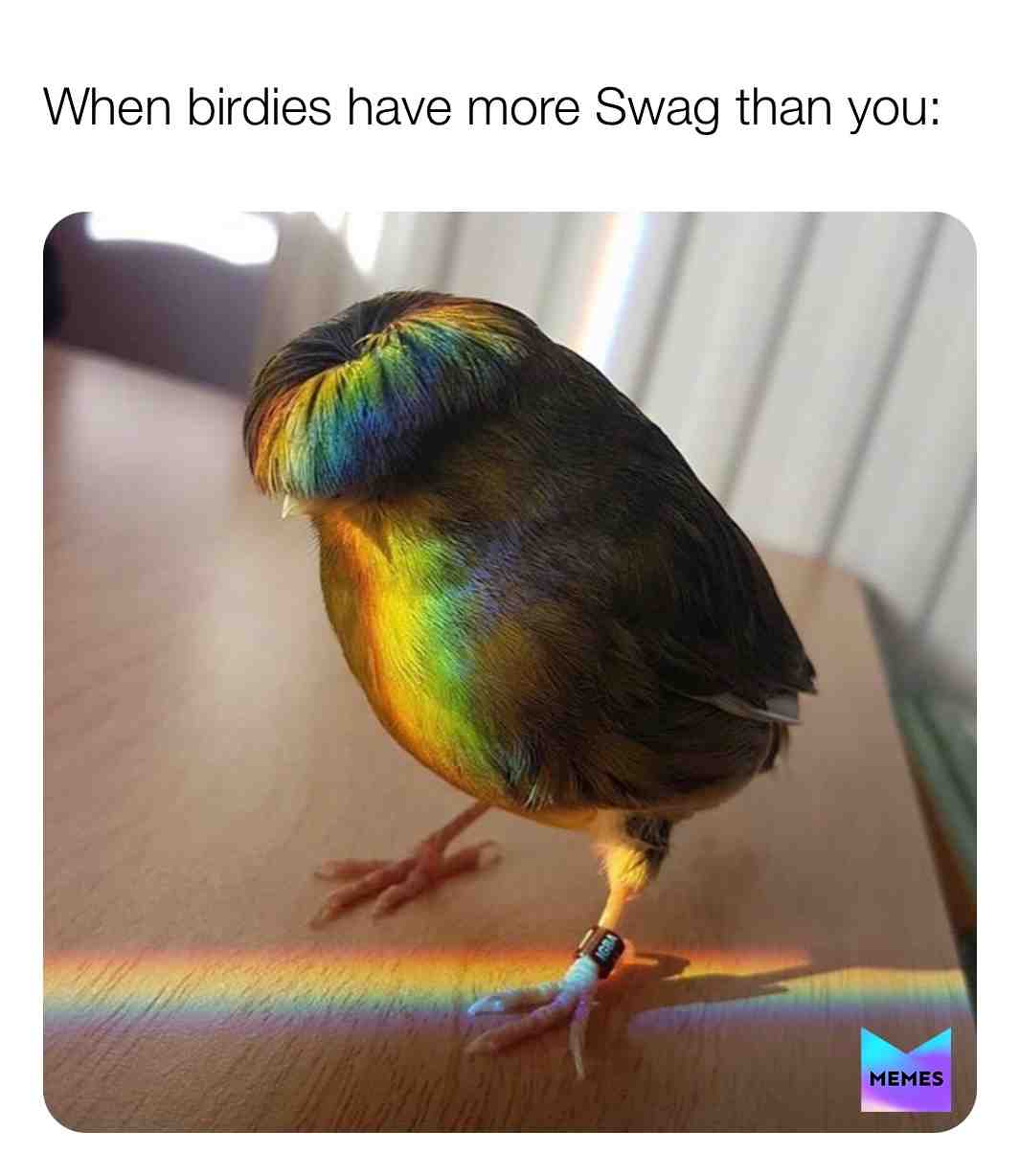 Bird 🐦 ie