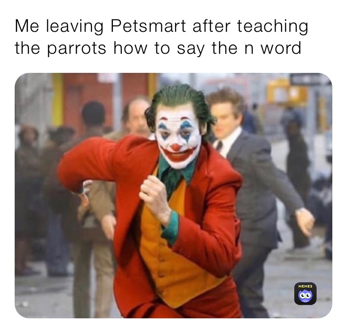Me leaving Petsmart after teaching the parrots how to say the n word