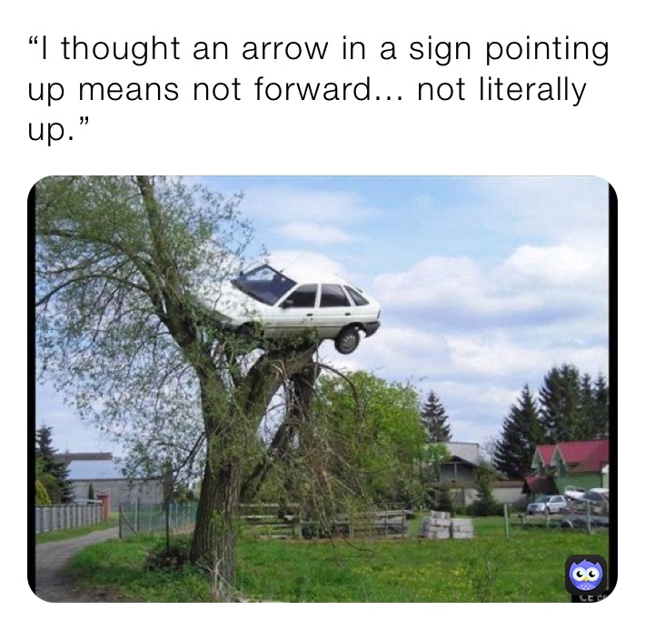 “I thought an arrow in a sign pointing up means not forward... not literally up.”