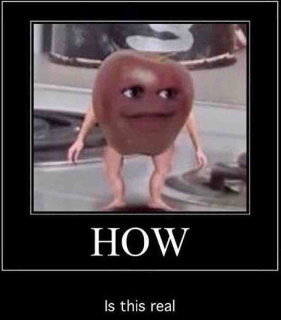 #Cat_menmmMemes