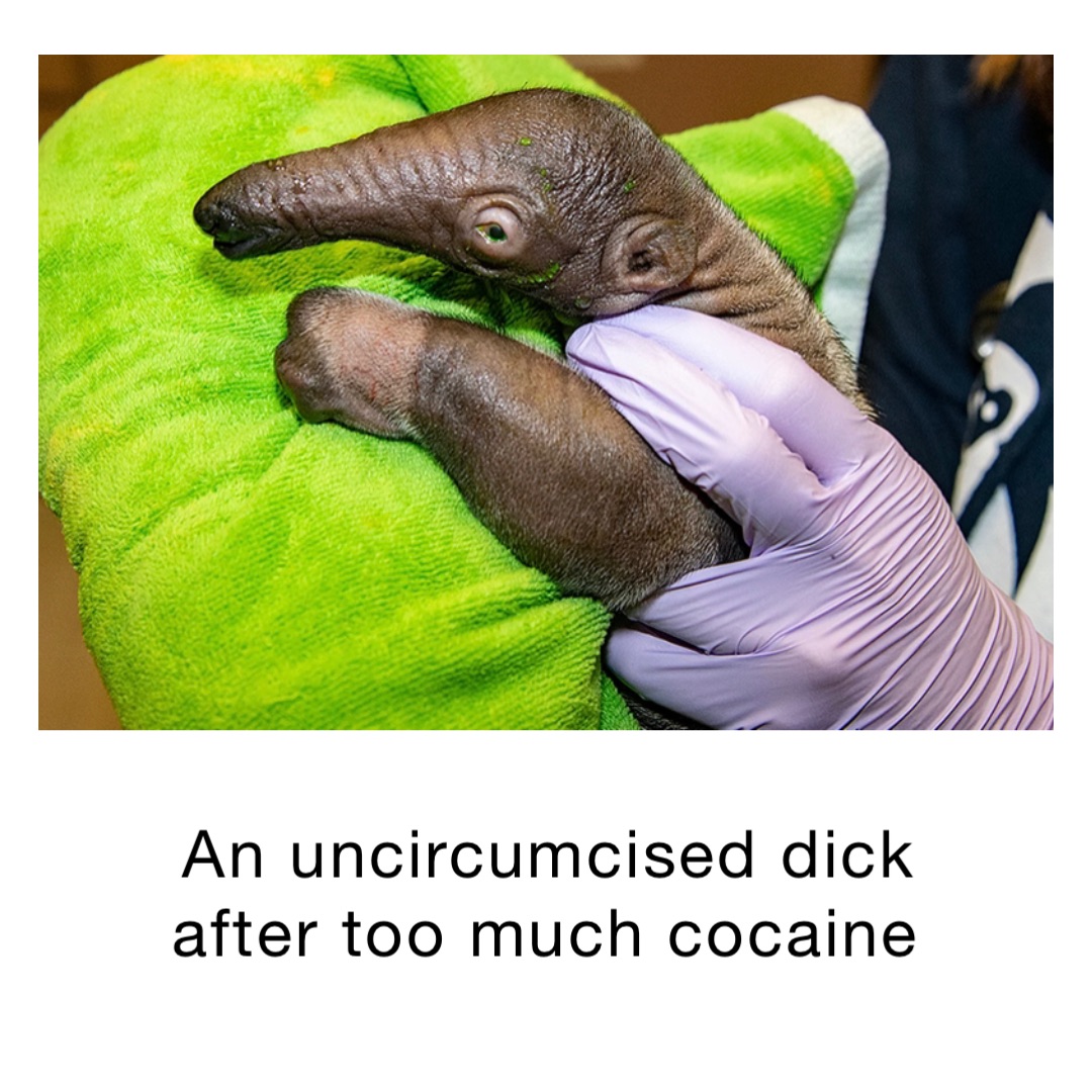 An uncircumcised Dick after too much cocaine