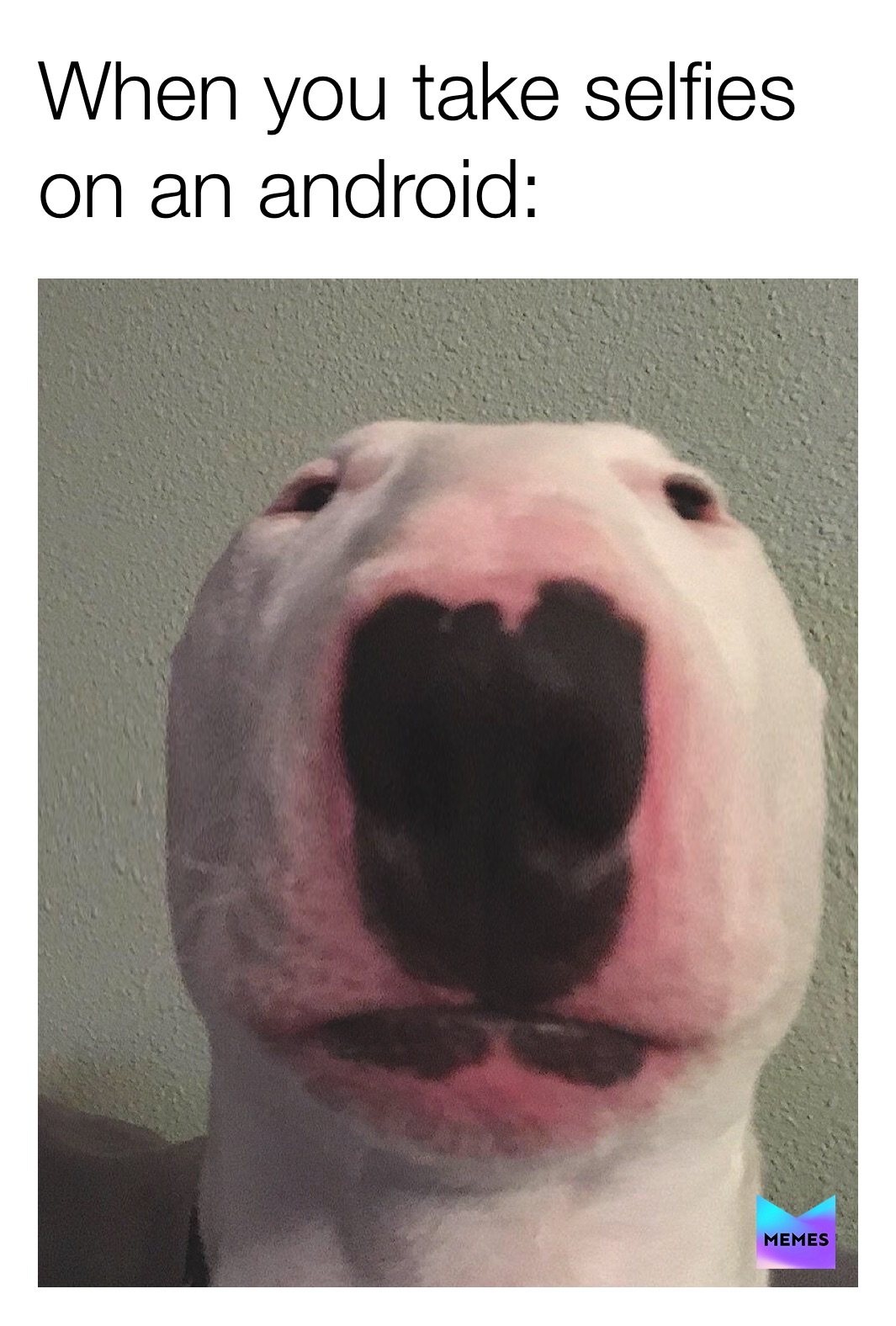 Meme by memes_of_crack