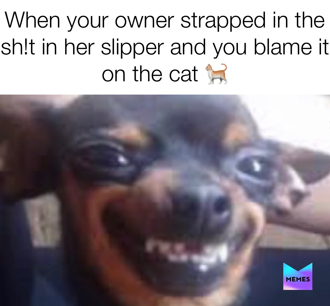 Meme by memes_of_crack