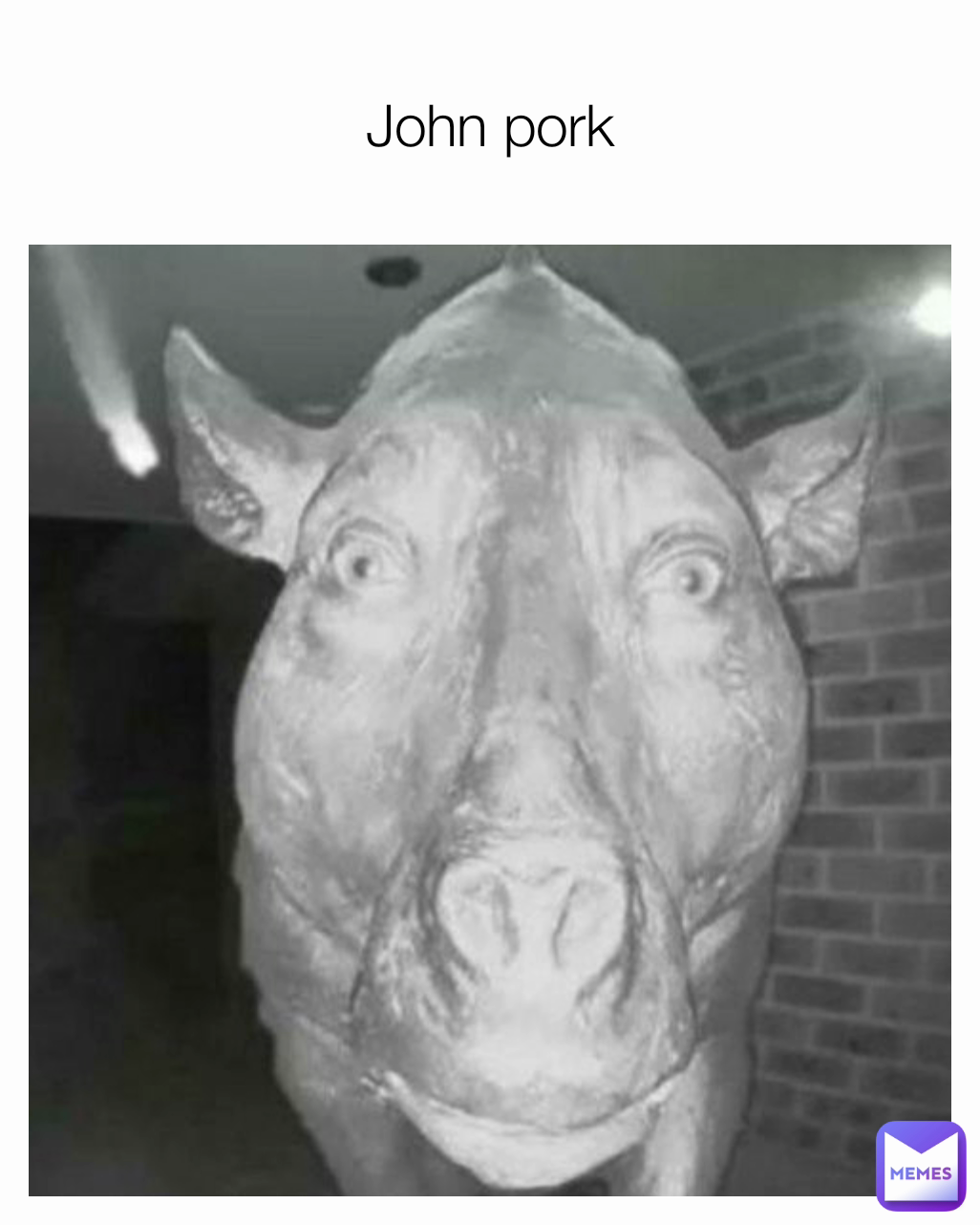 John pork