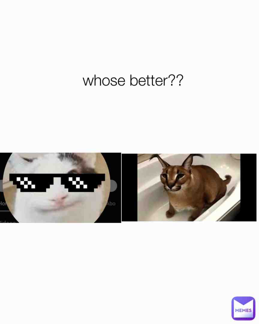 Meme preview