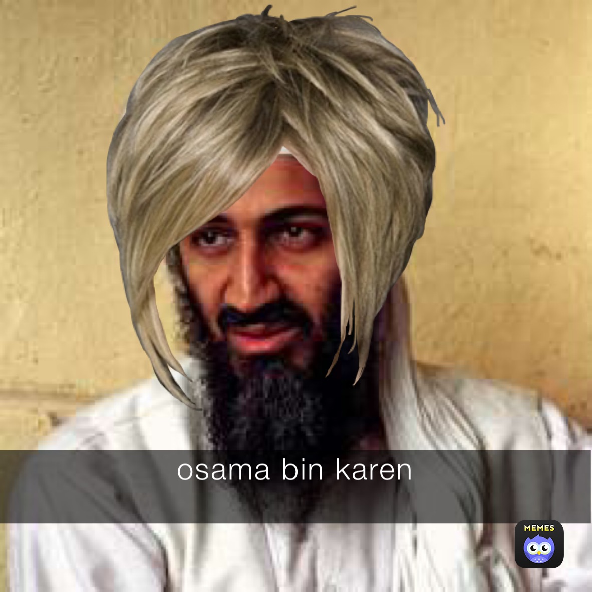 osama-bin-karen-halbarand-memes