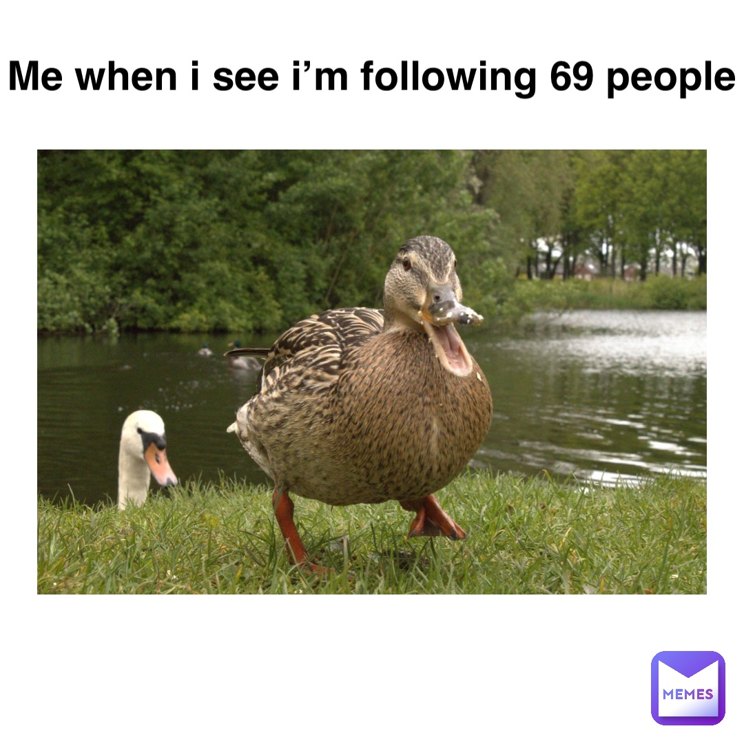 Me when I see I’m following 69 people