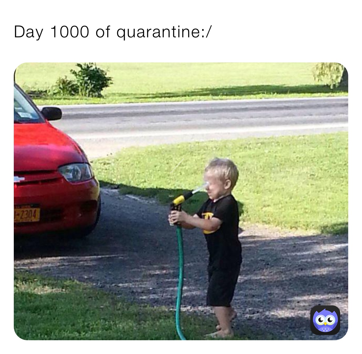 Day 1000 of quarantine:/