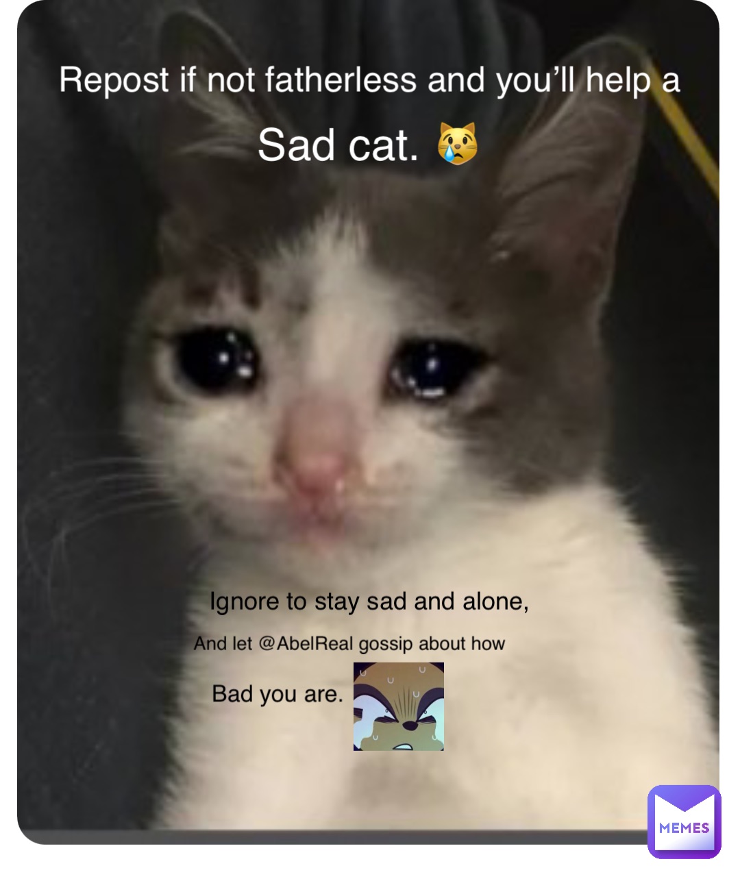 Repost if not fatherless and you’ll help a Sad cat. 😿 Ignore to stay sad and alone, And let @AbelReal gossip about how Bad you are.