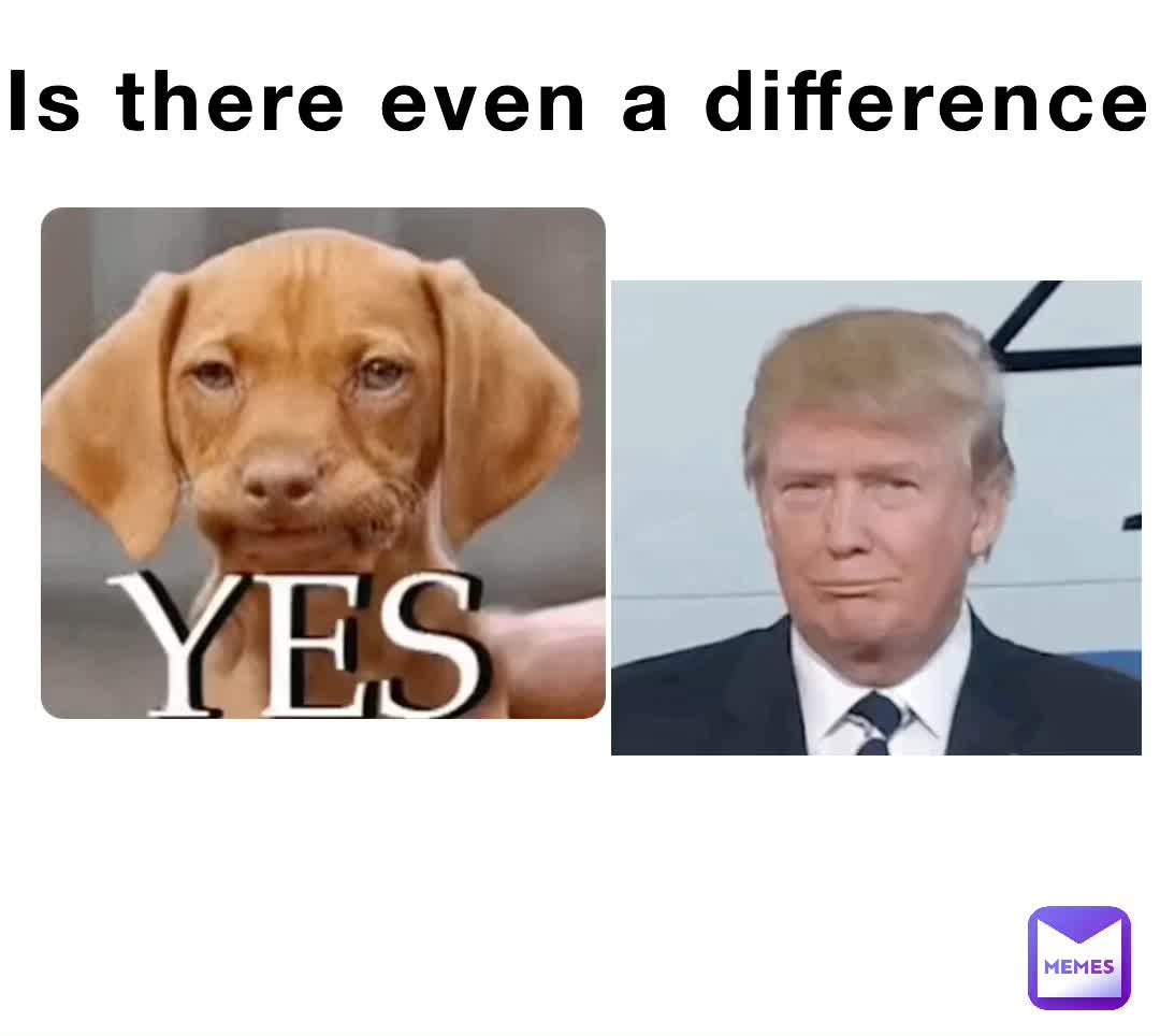 Is there even a difference | @___1 | Memes