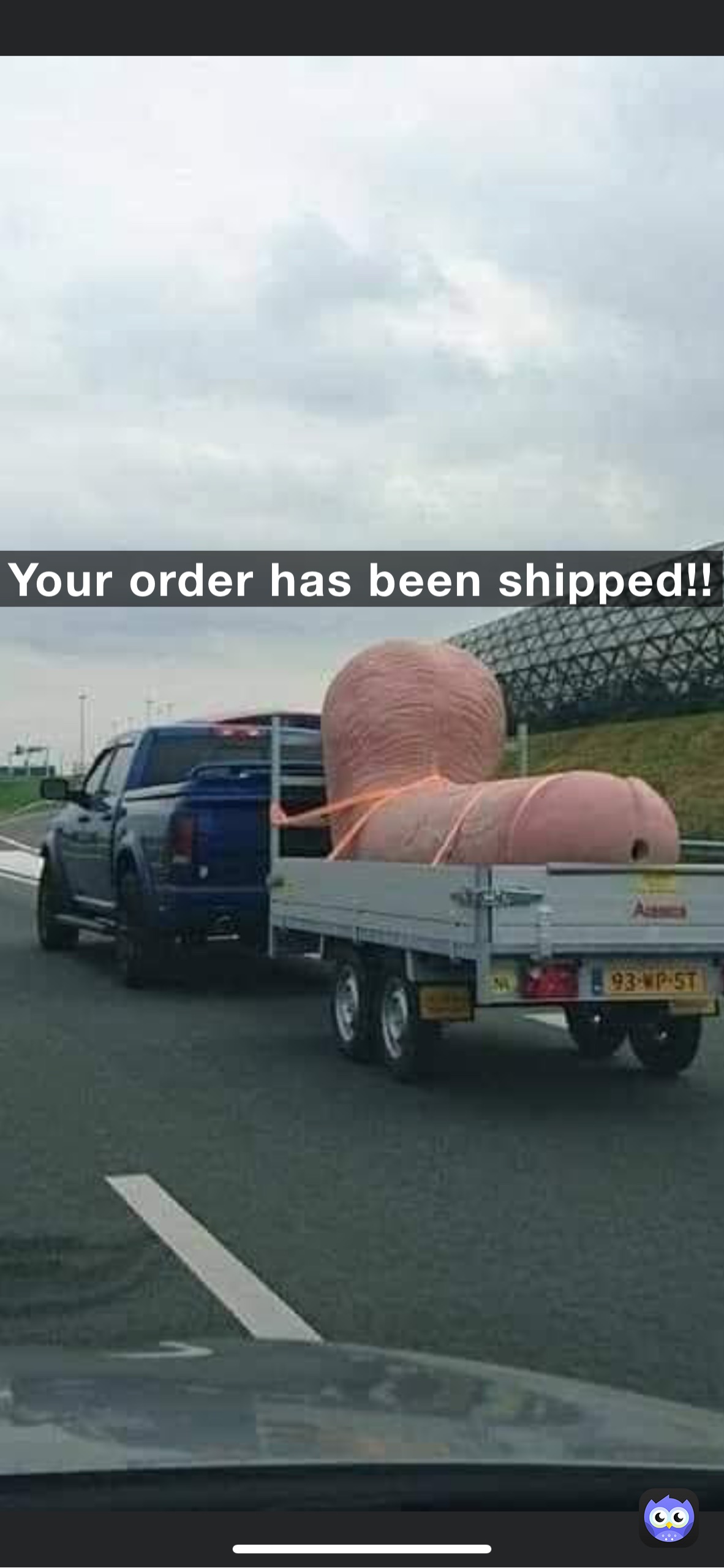 Your order has been shipped!!  