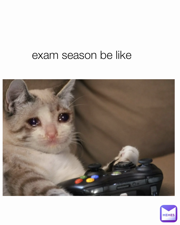 exam season be like