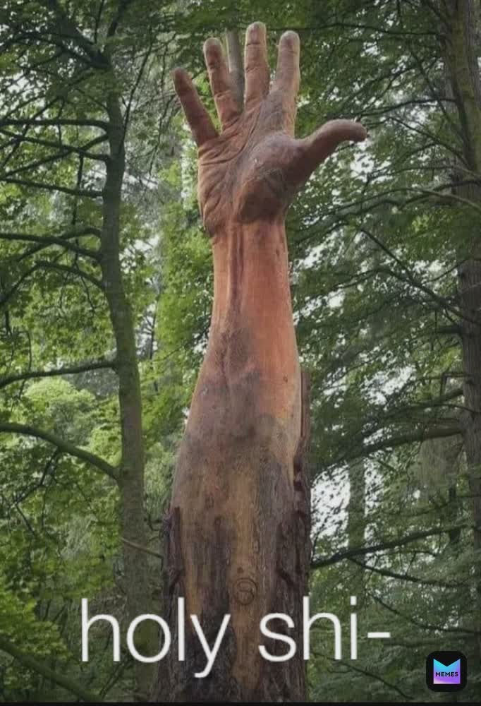 Meme by Shaquille__oatmeal