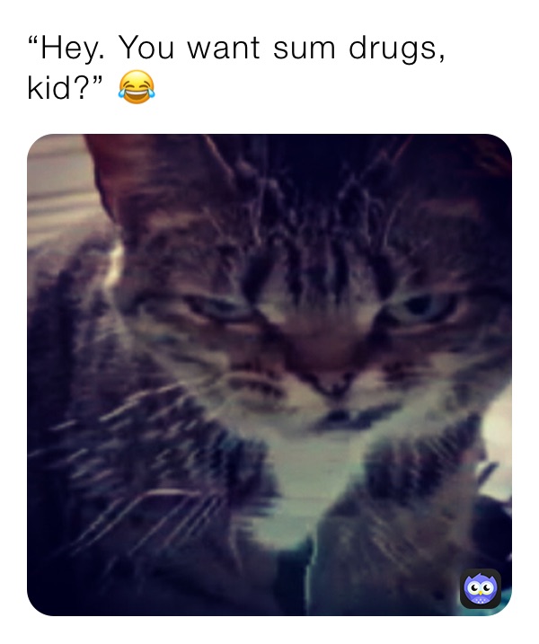“Hey. You want sum drugs, kid?” 😂