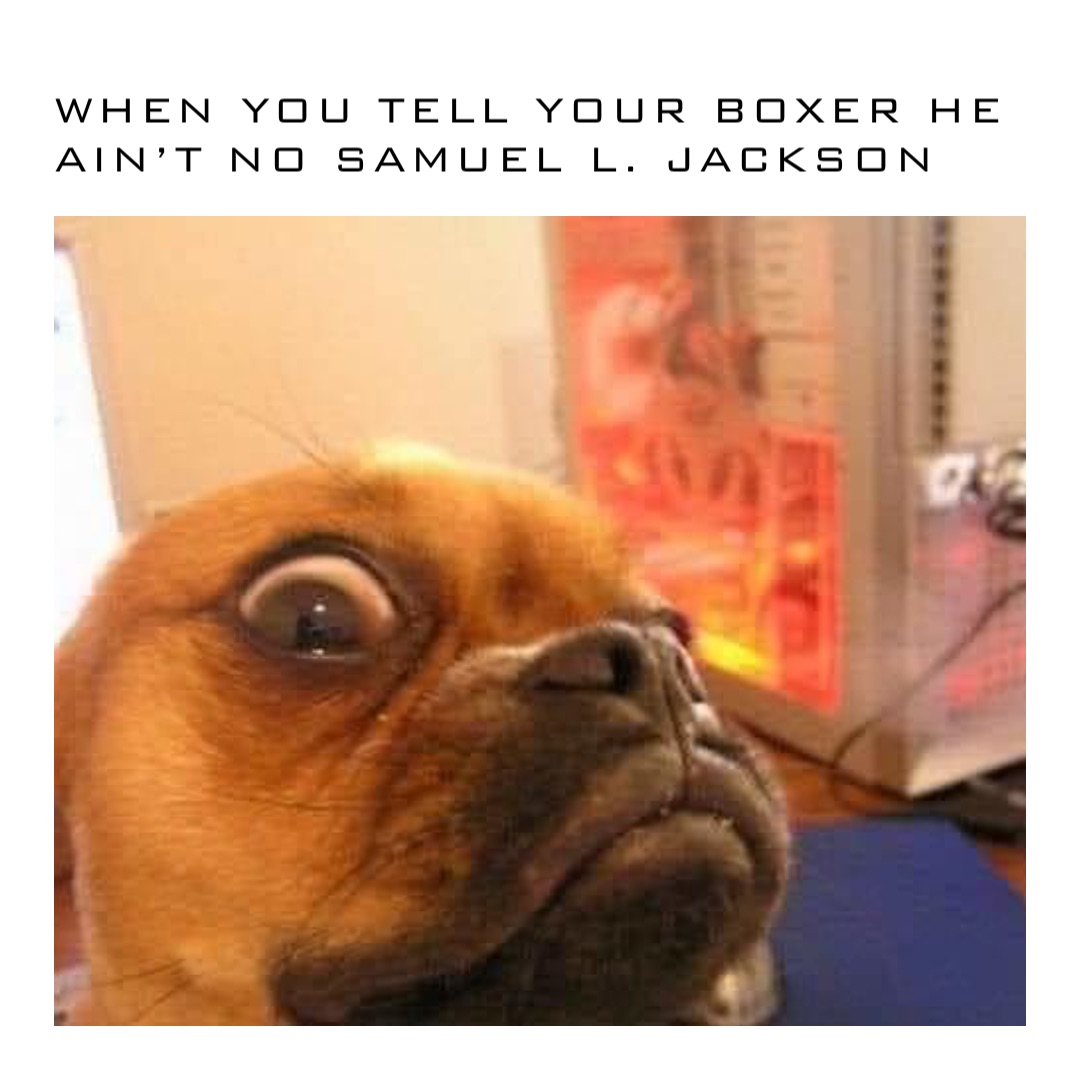 When you tell your boxer he ain’t no Samuel L. Jackson