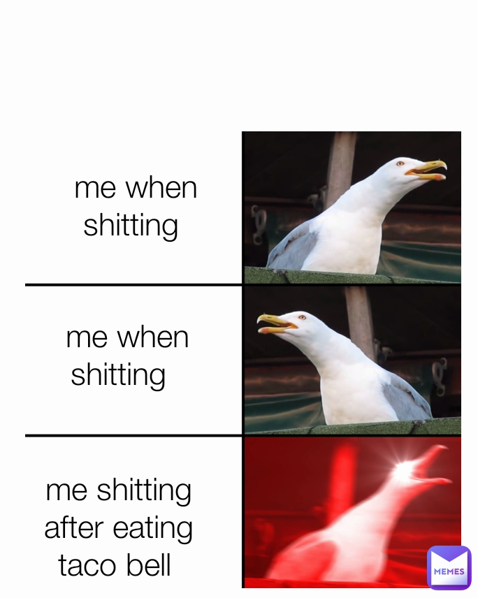 me shitting after eating taco bell  me when shitting   me when shitting  Type Text