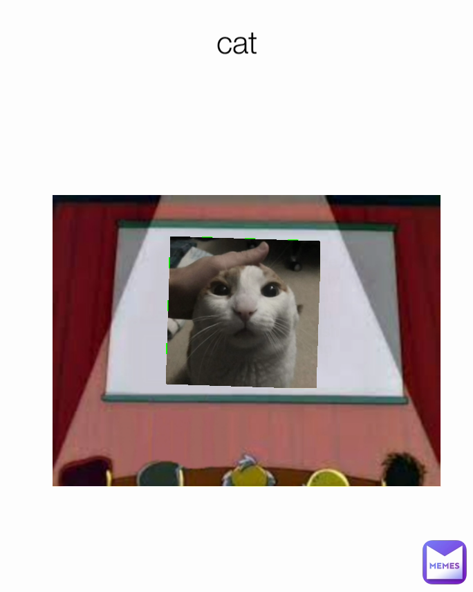 cat
