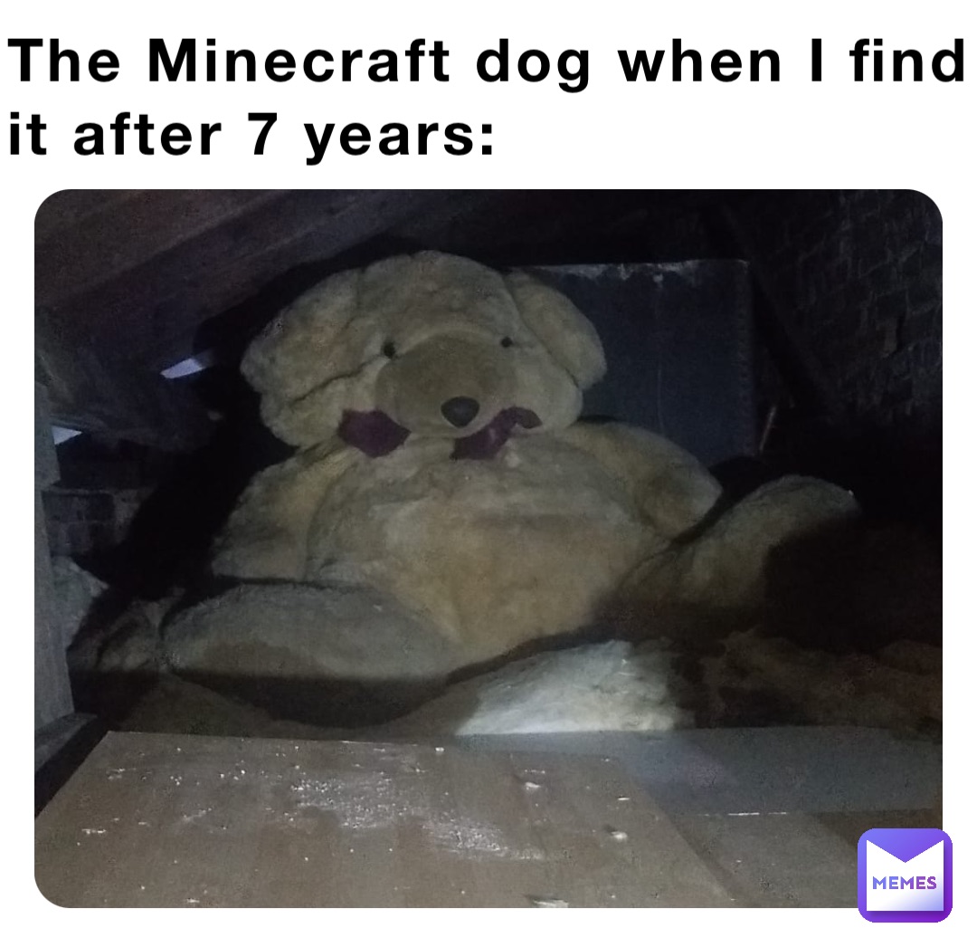 The Minecraft dog when I find it after 7 years: