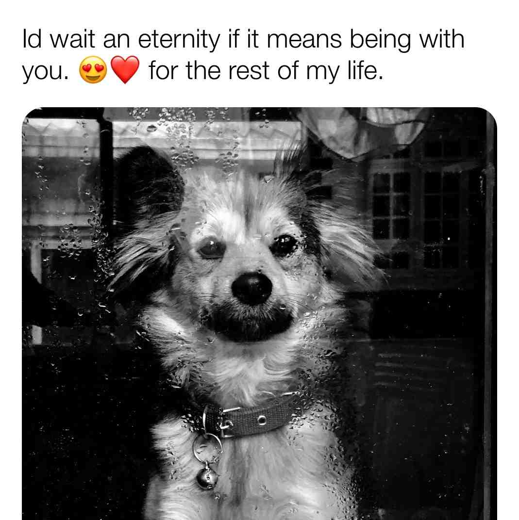 #love  #dogsrbae