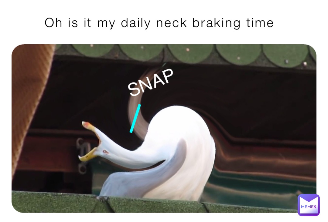 Oh is it my daily neck braking time SNAP _