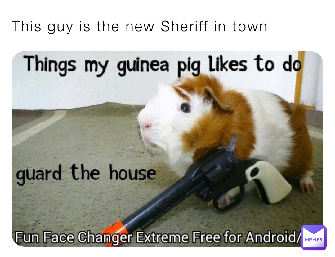 This guy is the new Sheriff in town