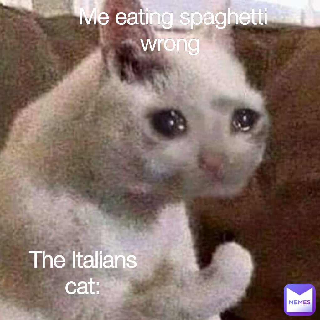 The italian cat The Italians cat: Me eating spaghetti wrong 