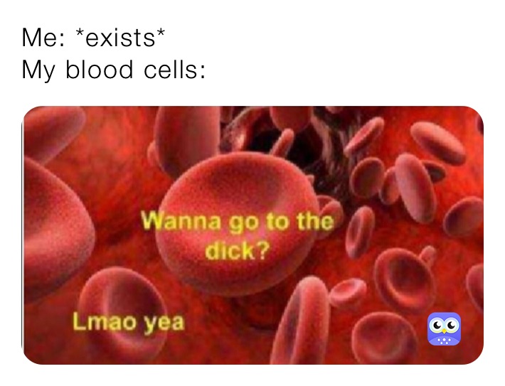 Avocaduno Avocados The_bean_frog Memes