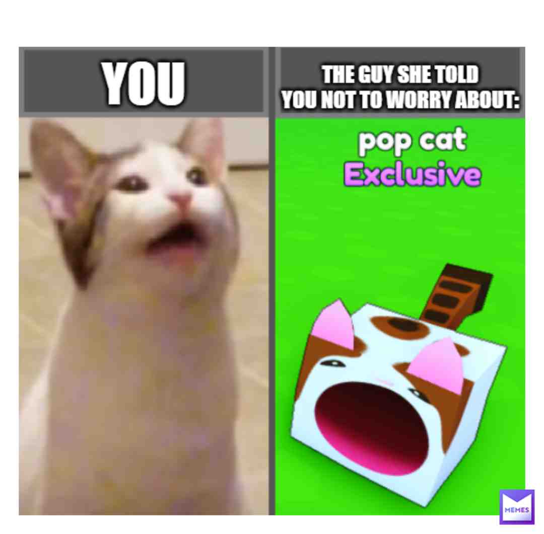 fell free to steal my memes , here's my crappy ones #robloxpet #robloxmemes #roblox #robloxmeme #robloxedits