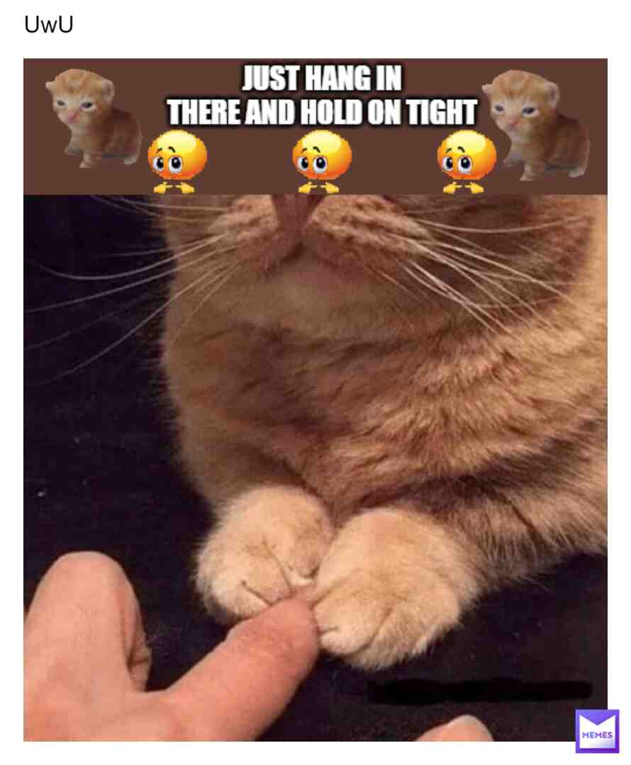 for ya'll #uwu #hanginthere #igotyou #igotyouhomie #catmeme #happy #happyeaster
