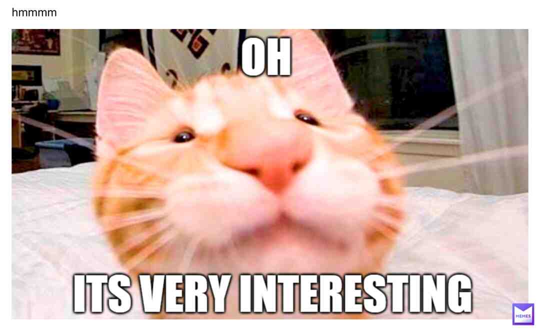 #ohcat #interestingmemes #interesting #orange #orangecat #very