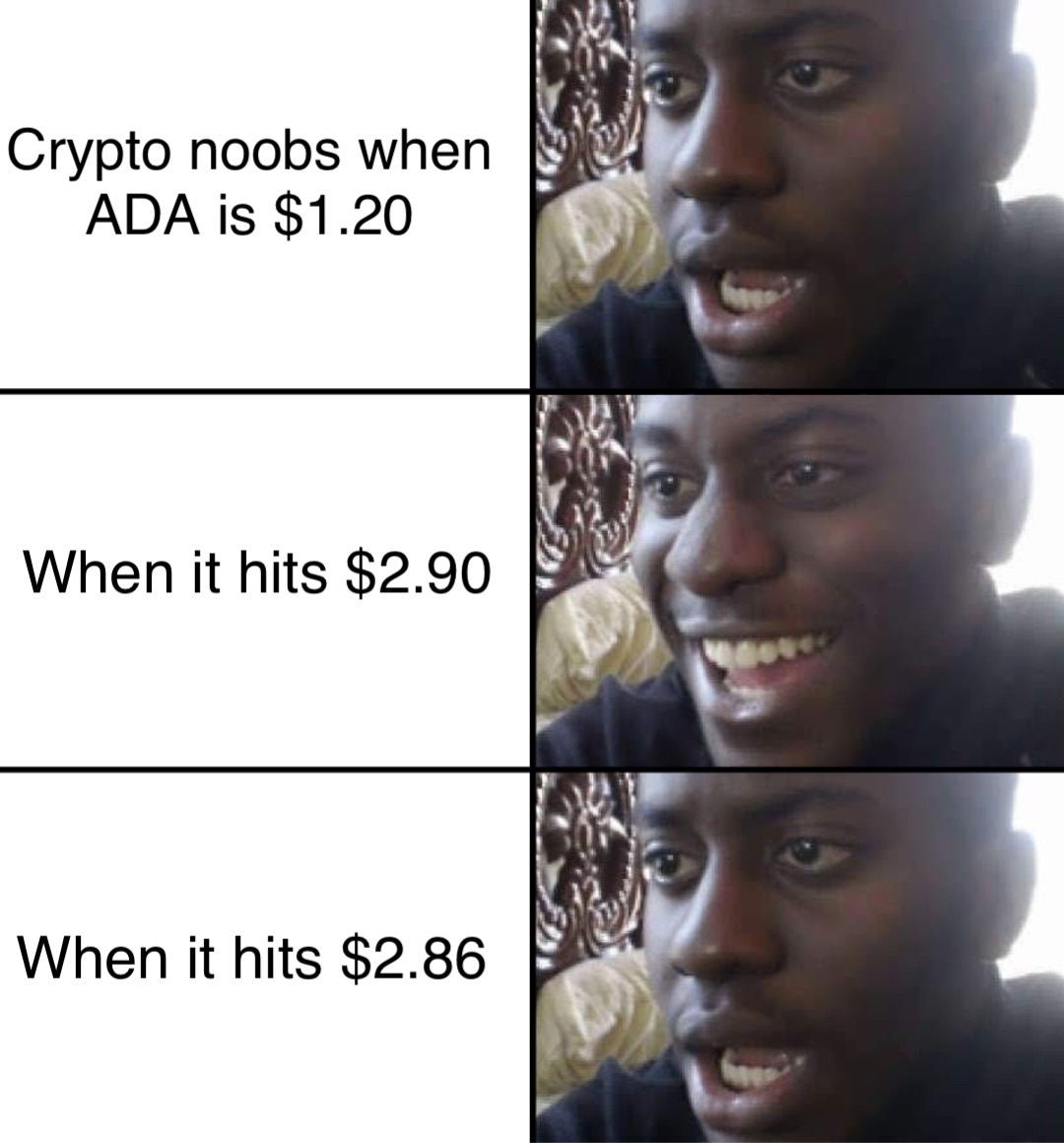 Crypto noobs when
ADA is $1.20 When it hits $2.90 When it hits $2.86