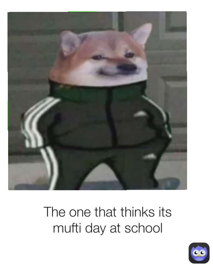 The one that thinks its mufti day at school