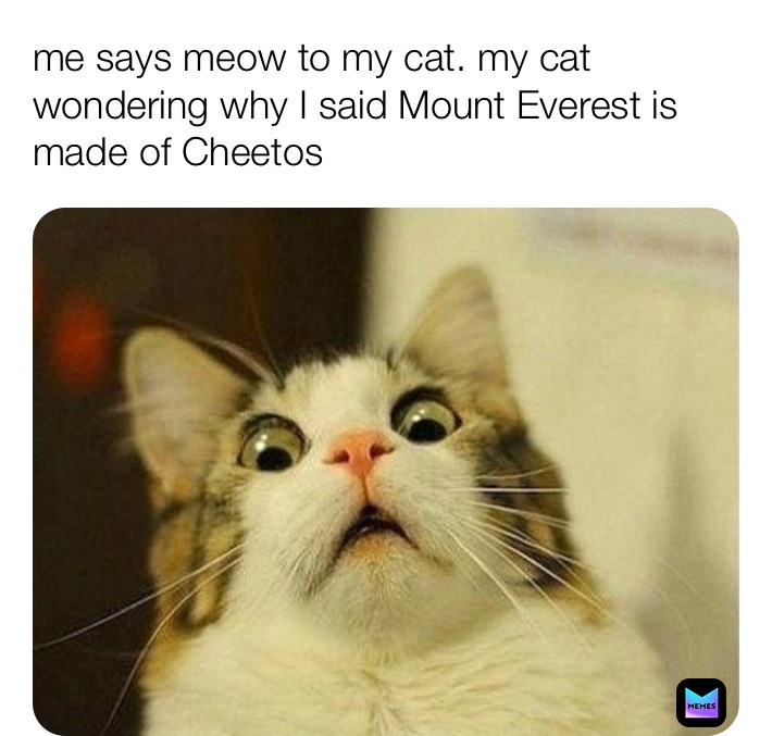 me says meow to my cat. my cat wondering why I said Mount Everest is made of Cheetos 
